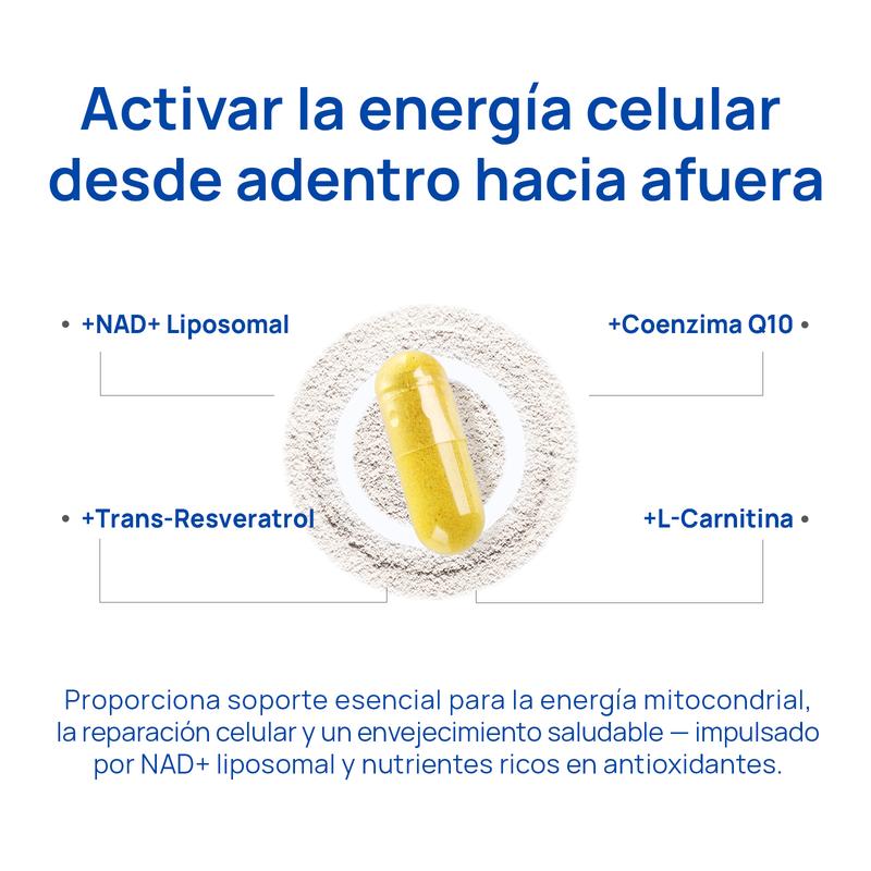 Selerb NAD+ Suplemento para Hombres - Soporte de Energía, Circulación y Próstata